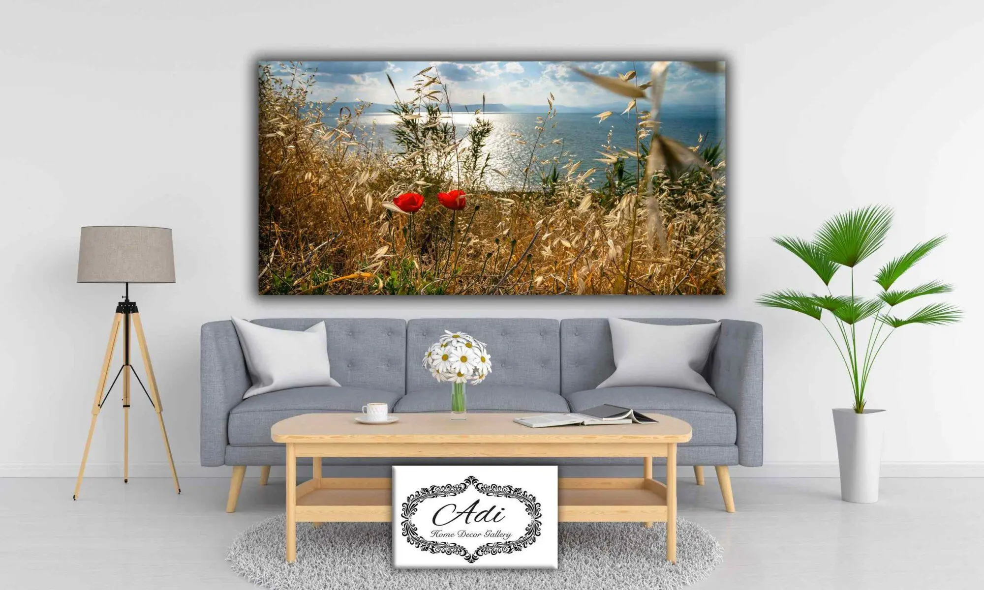 תמונה של פריחה פרחים על רקע כנרת