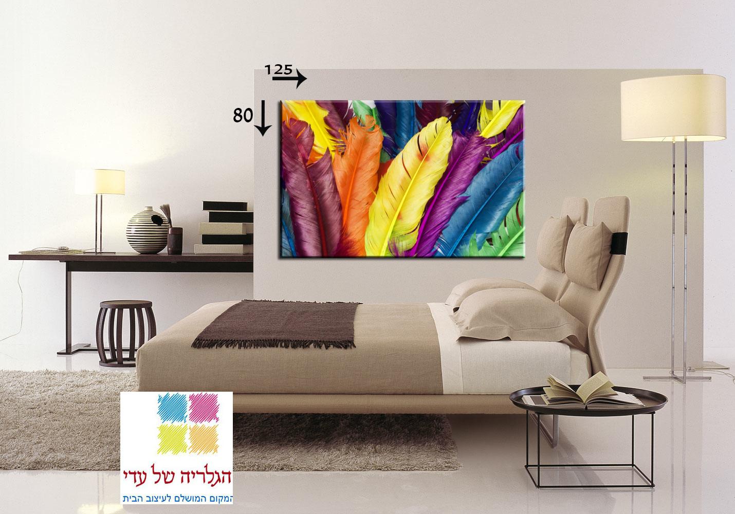 תמונה של נוצות צבעוניות