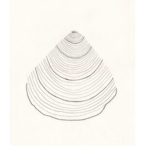 Desert Harmony – תמונת קנבס לחללי אירוח