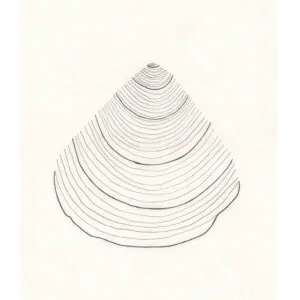 Desert Harmony – תמונת קנבס לחללי אירוח